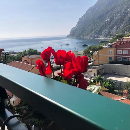 Il Sogno Di Contardi A Affittacamere Monterosso al Mare Ngoại thất bức ảnh